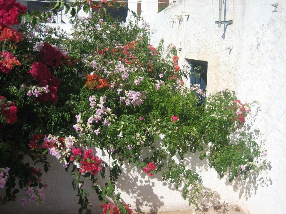Casa De La Buganvilla Rodalquilar Bagian luar foto
